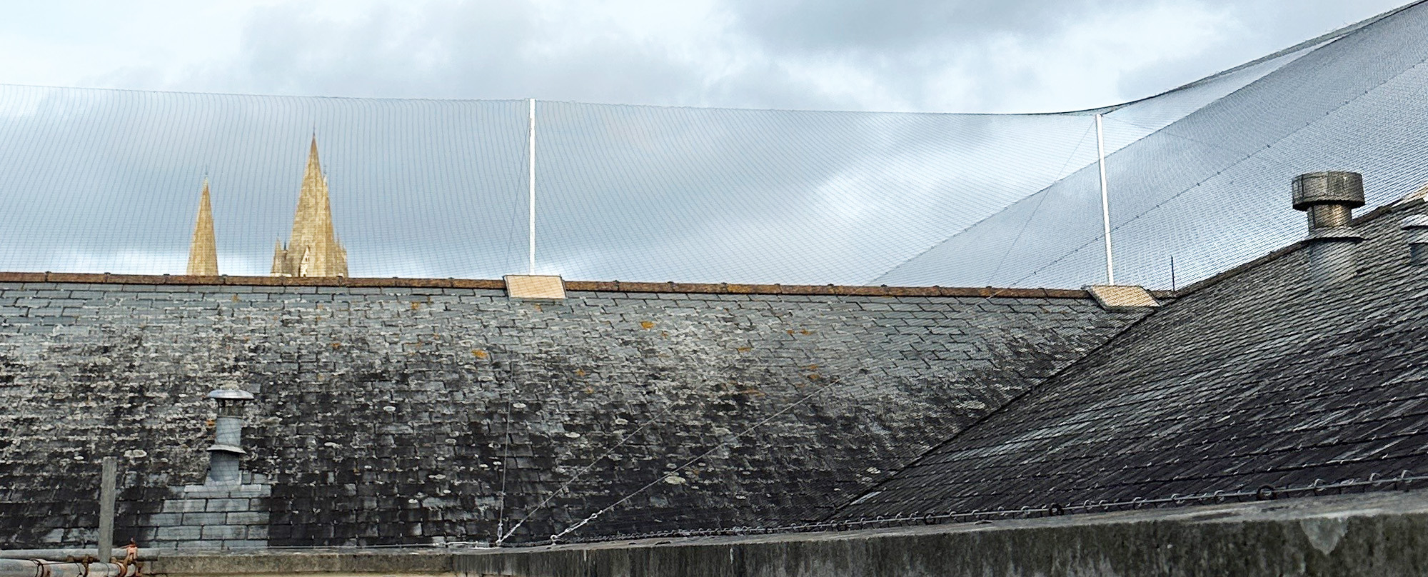 Bird Netting Installation Solution
